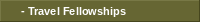 Travel Fellowships